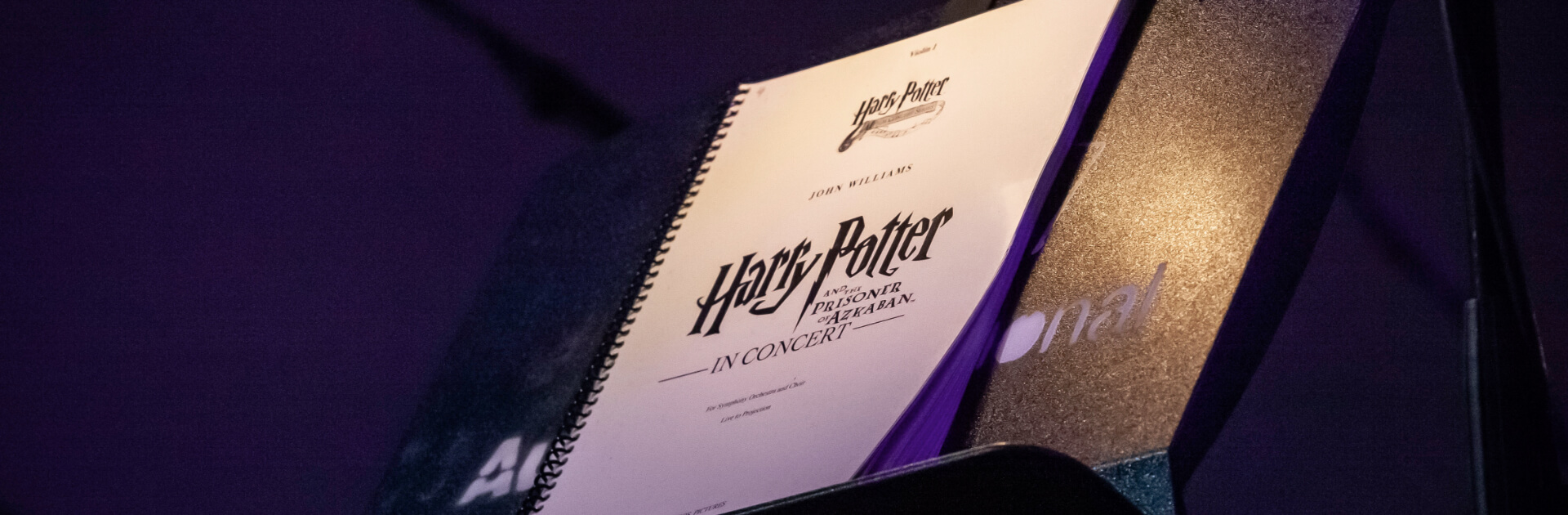 Harry Potter con orquesta en vivo